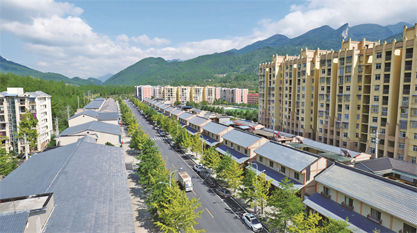 大美丰都 ——武平镇