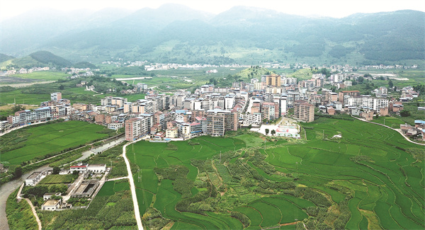 包鸾镇:绿色产业铺就致富路