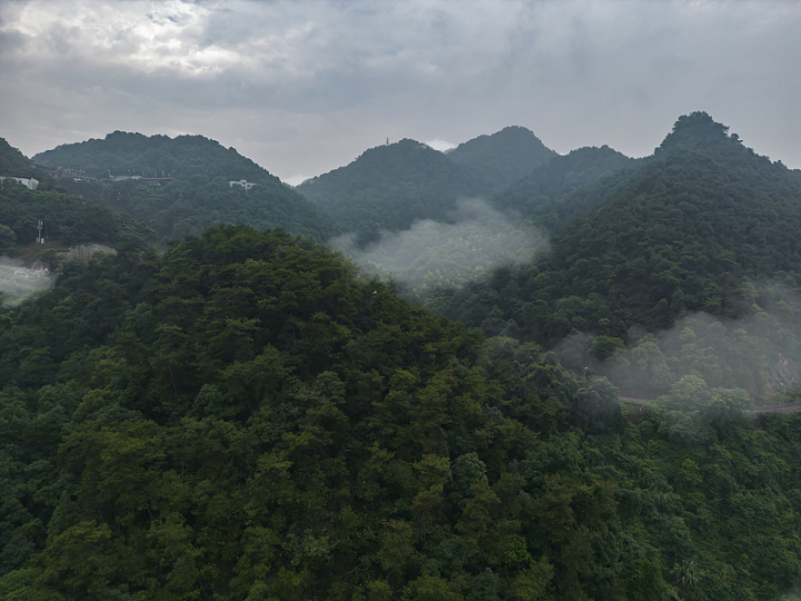 VCG211389404645.jpg