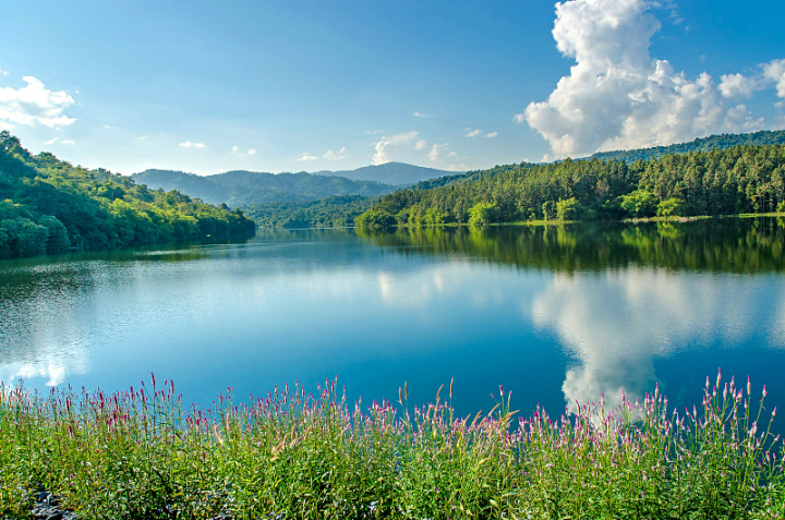 VCG41N901381446.jpg