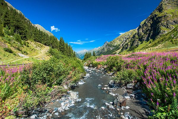 VCG21gic13443709.jpg