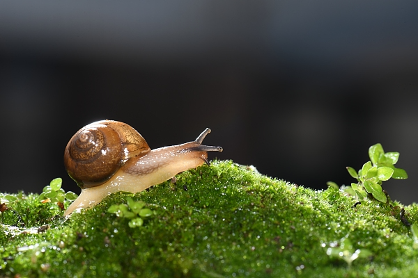 VCG41N1206800936.jpg