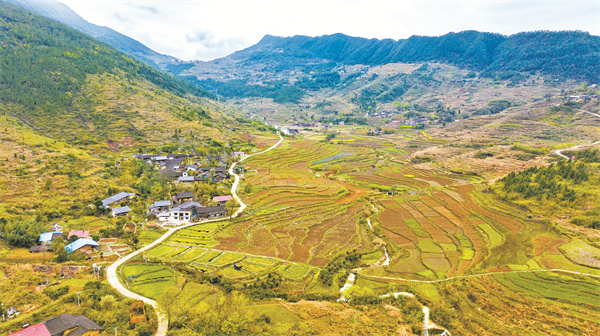 大美丰都——包鸾镇红花坡村-丰都新闻网