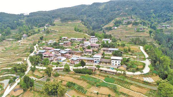 大美丰都——青龙乡-丰都新闻网