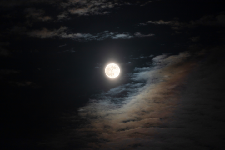 VCG211392267211.jpg