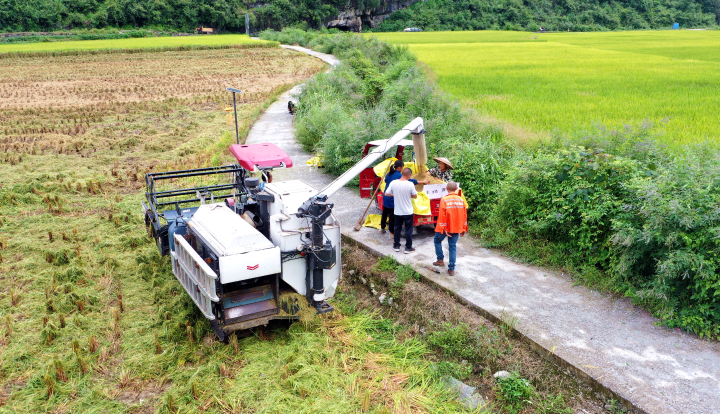 李溪镇官坝村村民在收稻谷1.jpg