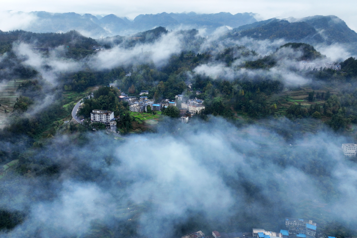晨雾缭绕乡村美
