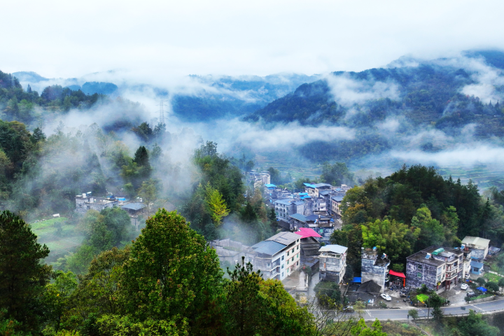 晨雾缭绕乡村美