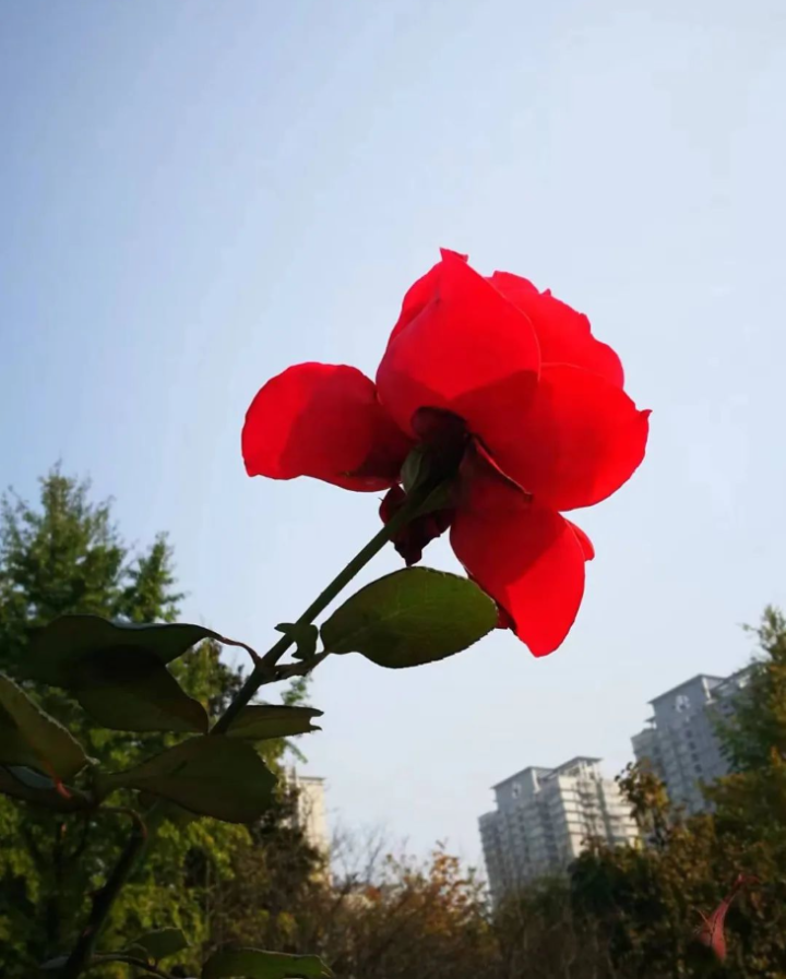 微信图片_20231220140944.png