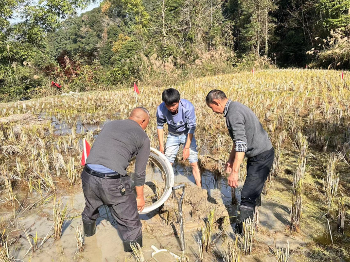 酉阳第三次全国土壤普查表层样点外业采样结束