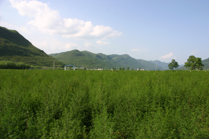 华润三九：打造生物医药产业百亿宏图(图1)