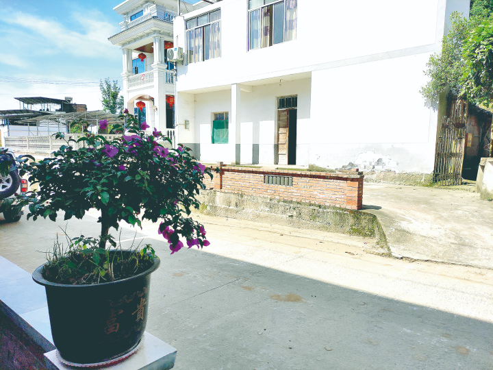 董家镇:整治人居环境 扮靓美丽家园-丰都新闻网