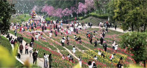 图片 3.png