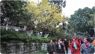 图片 6.png