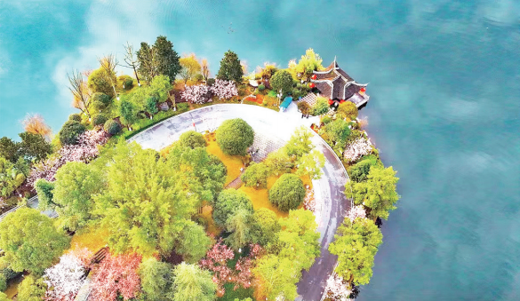 图片8.png