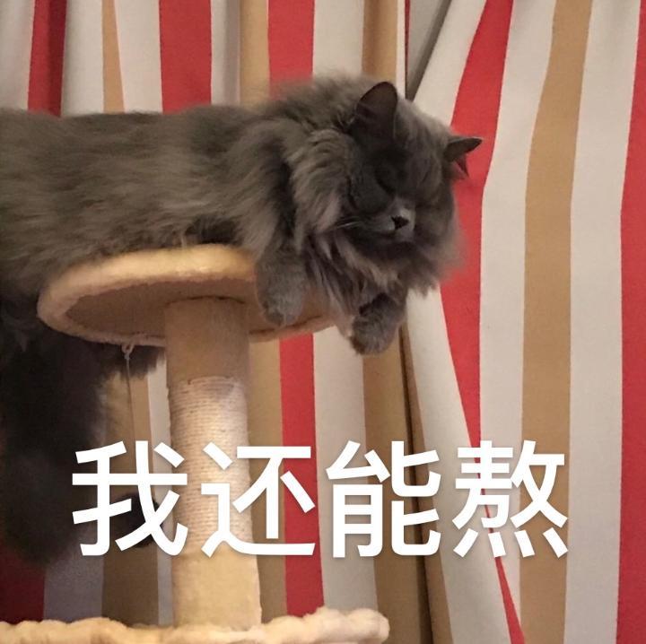 养生青年|月亮不睡你不睡 熬成受伤小宝贝?-新重庆客户端