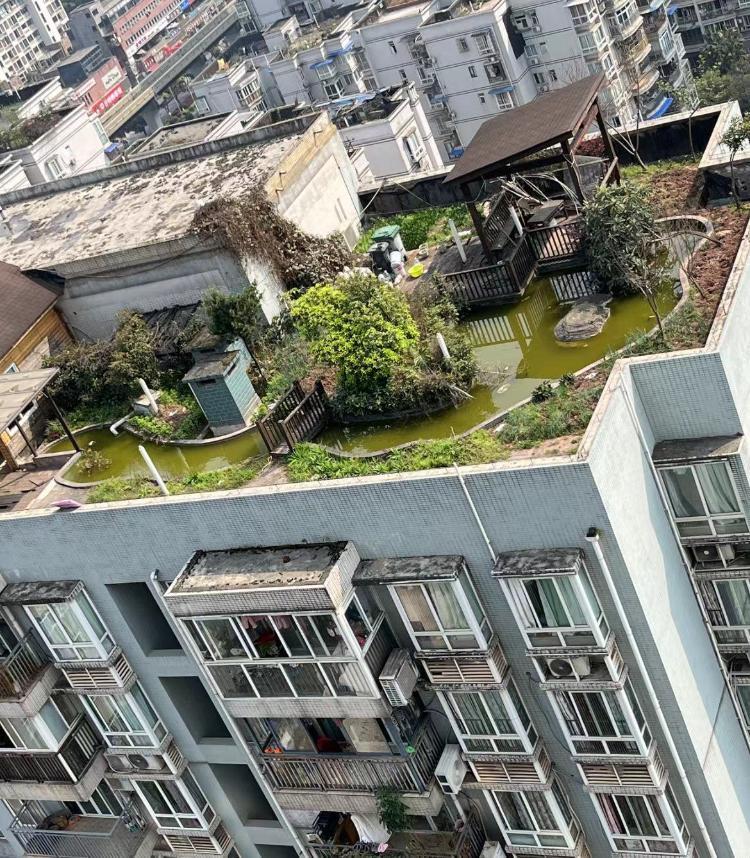 鸳鸯街道瑞骏景园1栋楼顶天台私搭违建池塘凉亭存在安全隐患正文