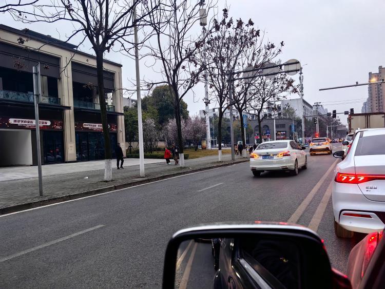 铜梁区巴川镇金砂路到学府大道红绿灯处车辆逆行严重正文