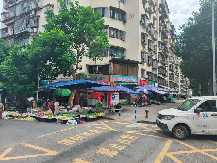 万州区五桥天台路菜市场路口树木砸伤人