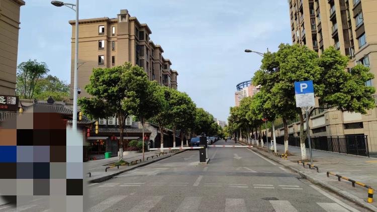 长寿区路内停车违停