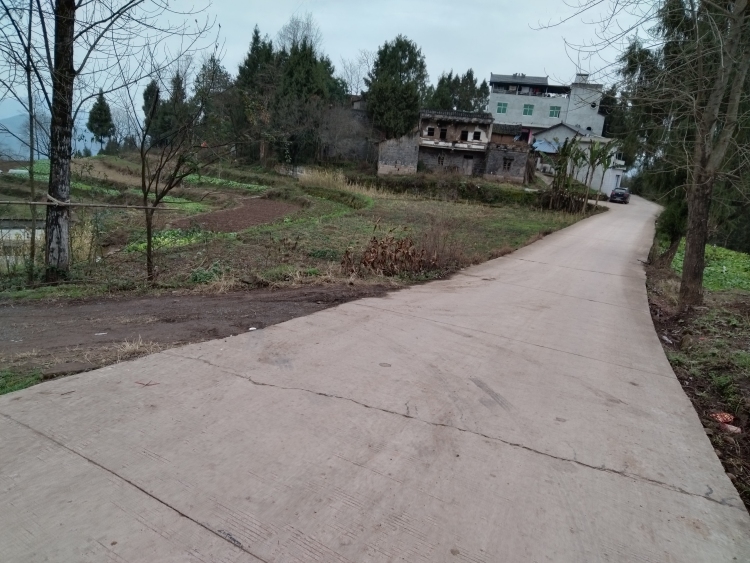 重慶雲陽鳳鳴鎮院莊鄉陳園村9組農村道路整改正文