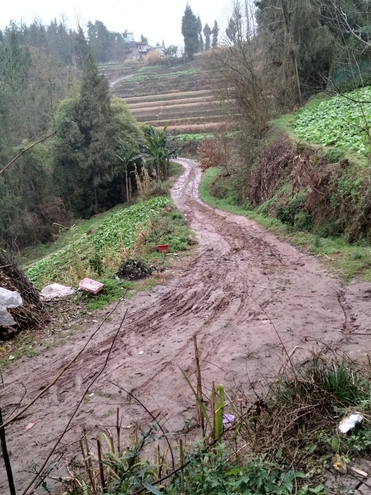 重慶雲陽鳳鳴鎮院莊鄉陳園村9組農村道路整改正文