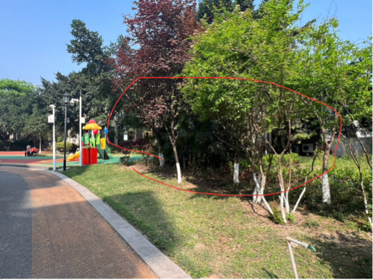 花溪半岛乱排油烟有没有人管?-重庆网络问政平台