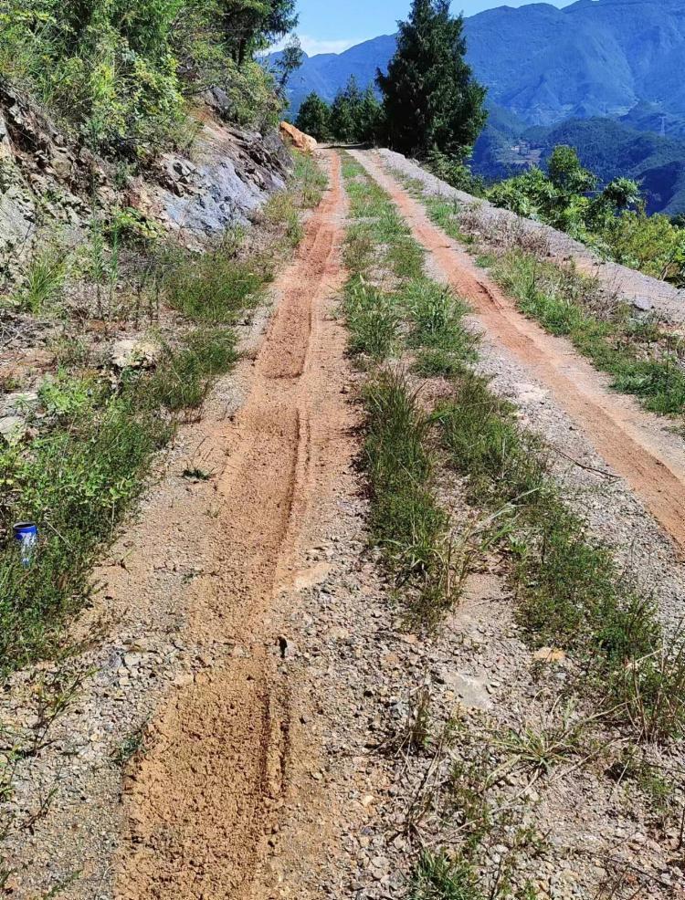 路面水泥硬化何时落实正文