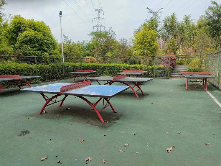 长寿区公园问题正文