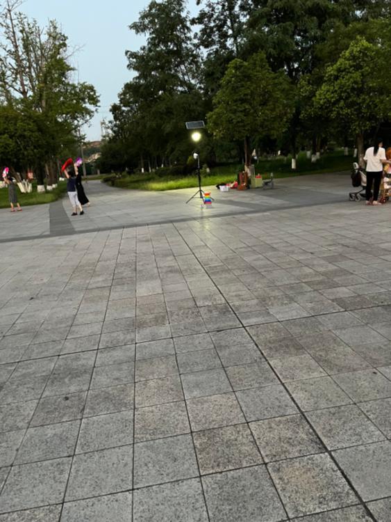 蔡家森林公园噪音扰民正文