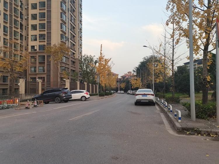 关于北碚区蔡家岗街道万科观承承澜周边交通卫生情况的建议