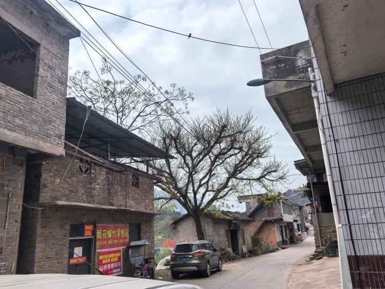 举报云阳县江口镇千丘冉小兰经营的烟花爆竹仓库不合规正文