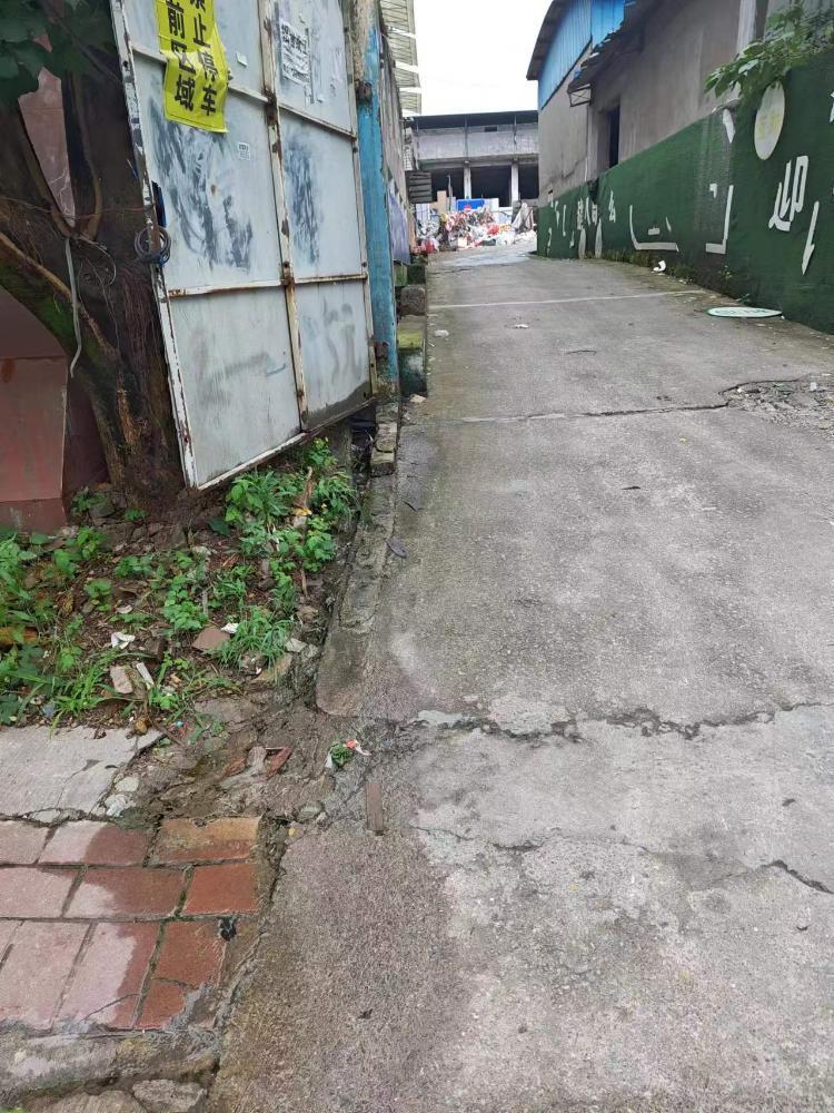 巴南区南泉街道凤舞街人行风险极大