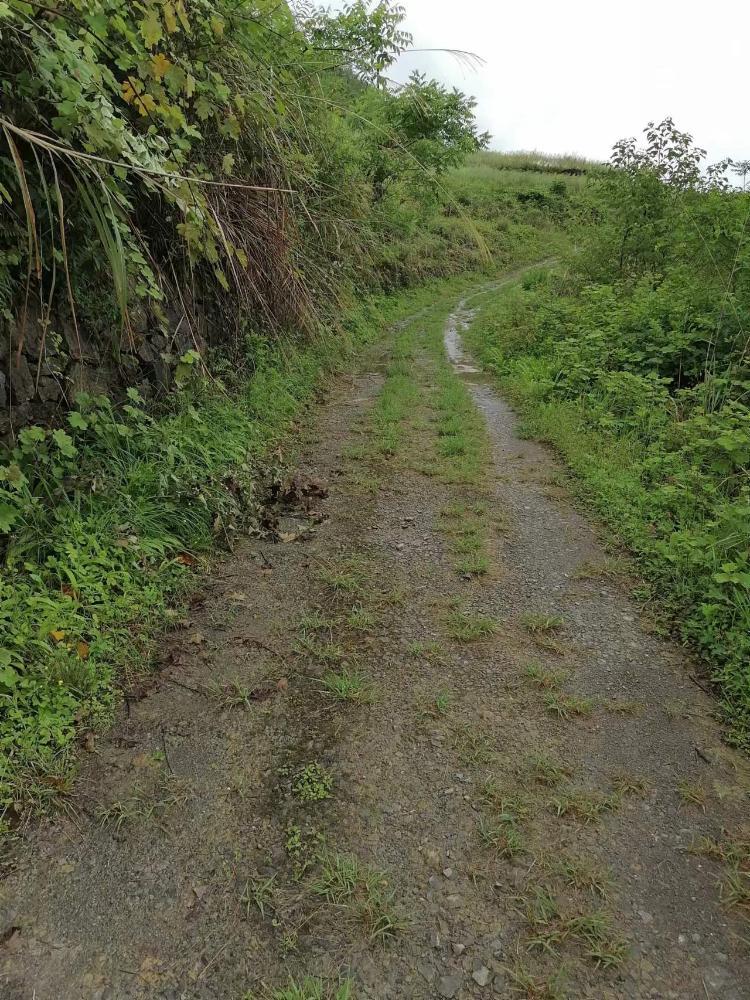 重庆市黔江区石家镇鱼田村3组的泥巴路什么时候可以修成水泥路呢