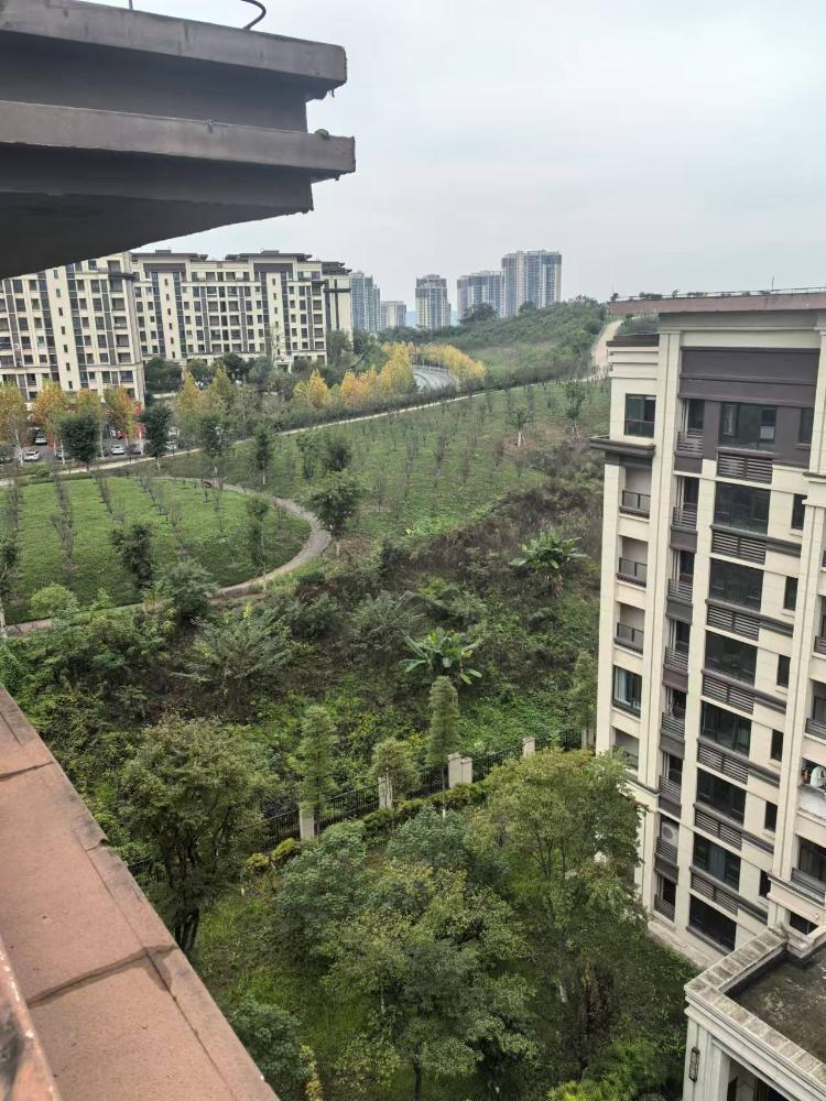 面子绿化 北碚蔡家 金科集美嘉悦三期边荒坡-重庆网络问政平台