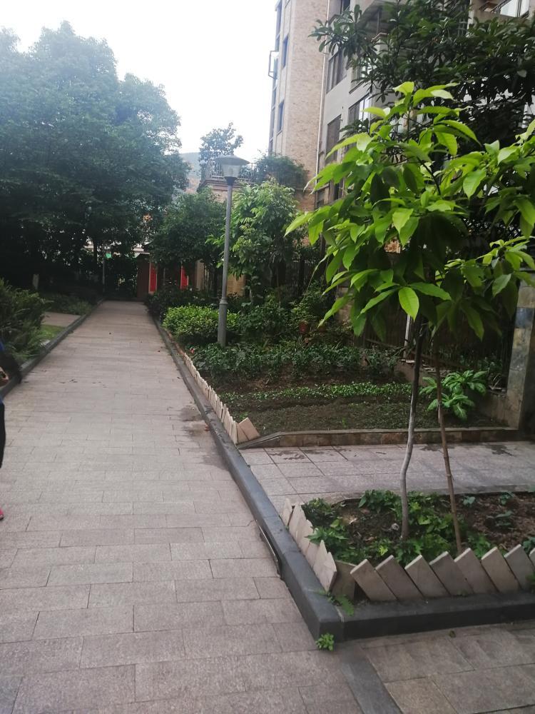 国瑞物业只收费不作为重庆南岸区辅仁路江南香郡小区