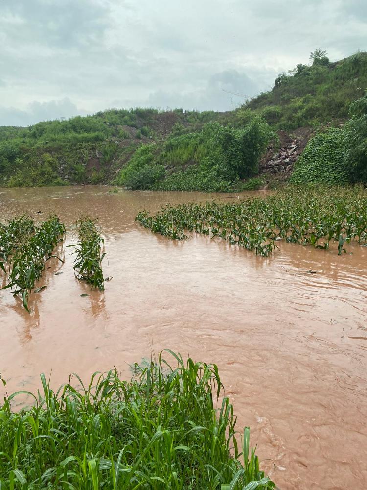 蔡家修中医院填土石造成洪水淹没庄稼