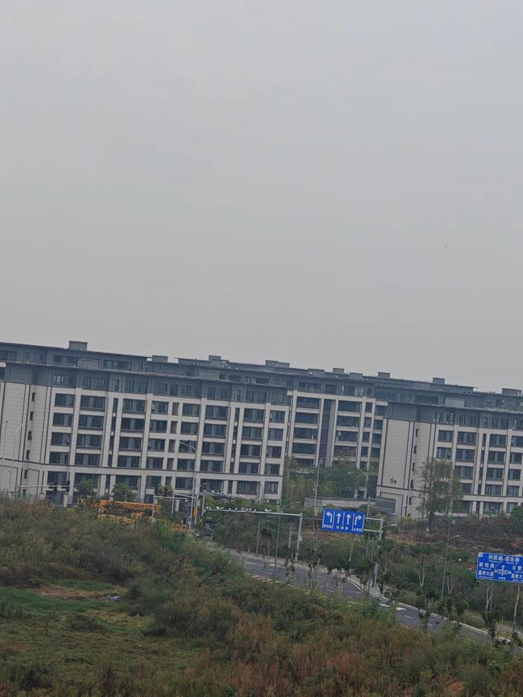 金科博翠未来与溪山春晓间道路完工近半年未交付,是懒政还是另有隐情?