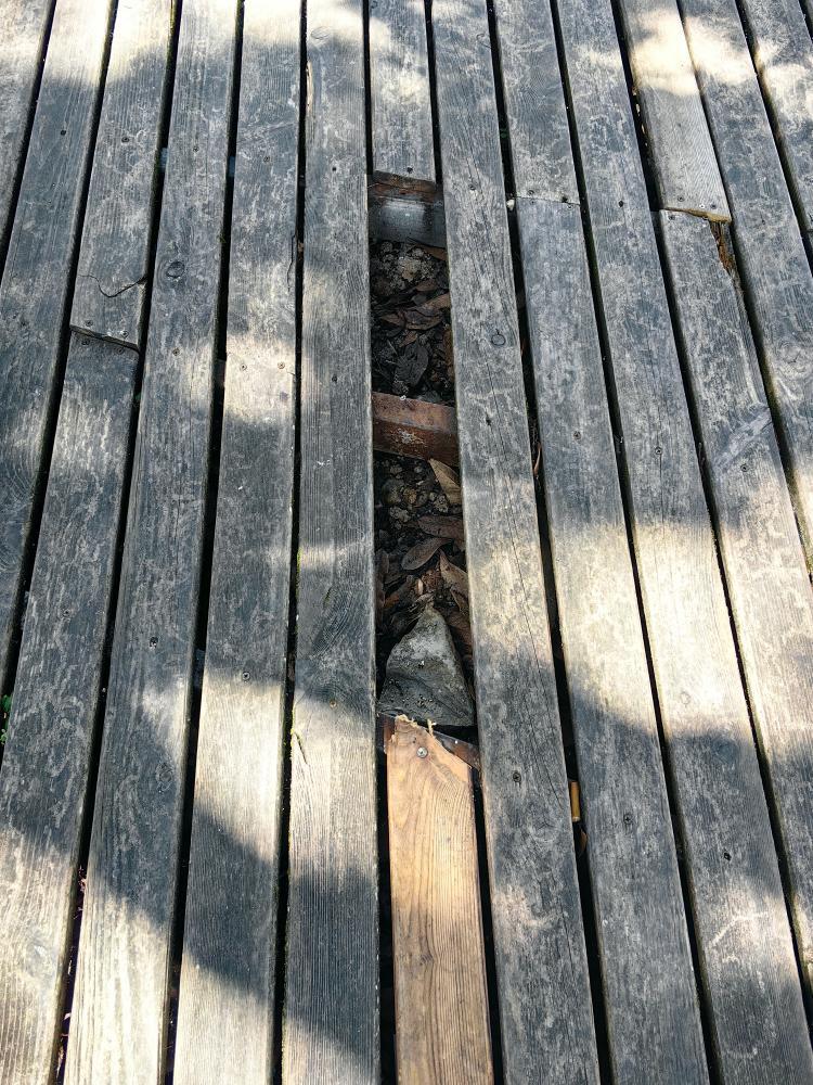 重庆市武隆区双河镇"九耙树"景区安全隐患堪忧