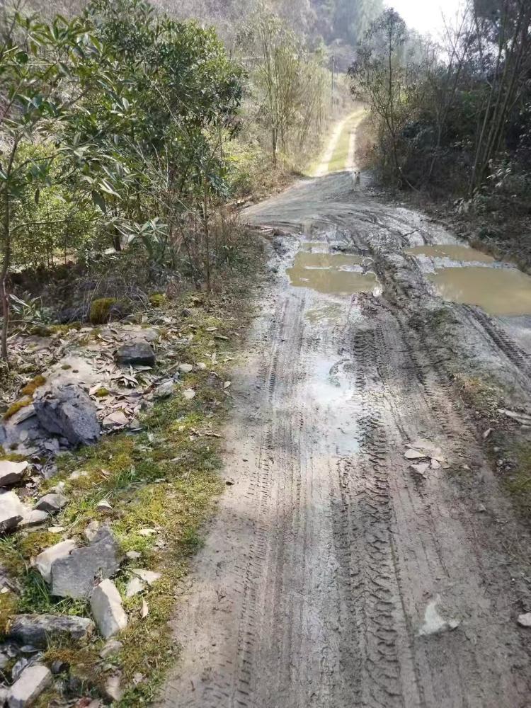 奉节县冯坪乡南津村14组道路问题