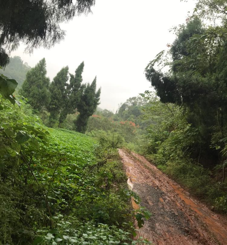 重庆市荣昌区吴家镇十烈村一组公路问题正文