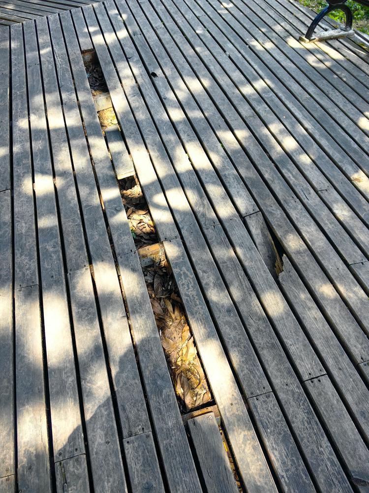 重庆市武隆区双河镇"九耙树"景区安全隐患堪忧