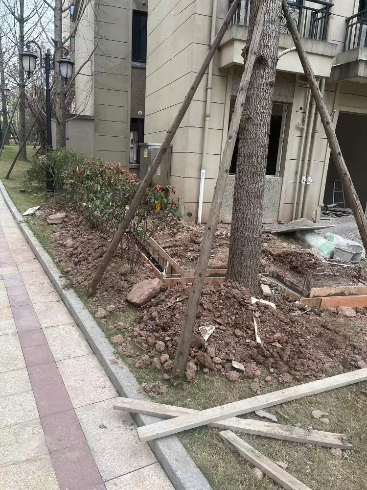 恳请相关部门严查恒大御府违章建筑-重庆网络问政平台