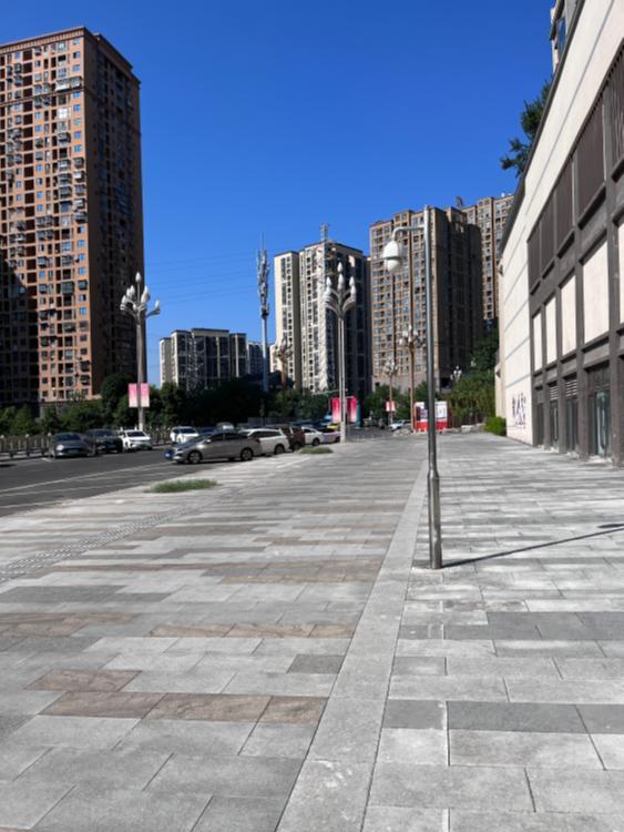 九龙坡九龙街道云龙大道12号道路无绿化树木