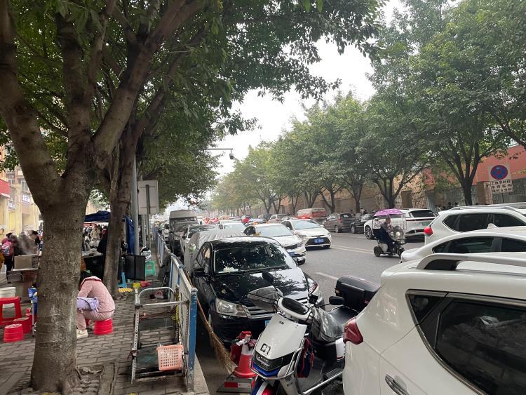 重庆市大渡口区半岛逸景车辆随意停放占用车行道正文