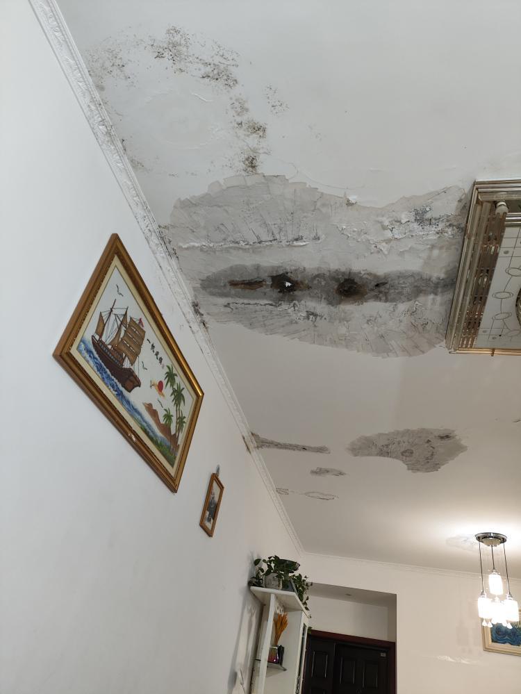 连云港防水补漏
