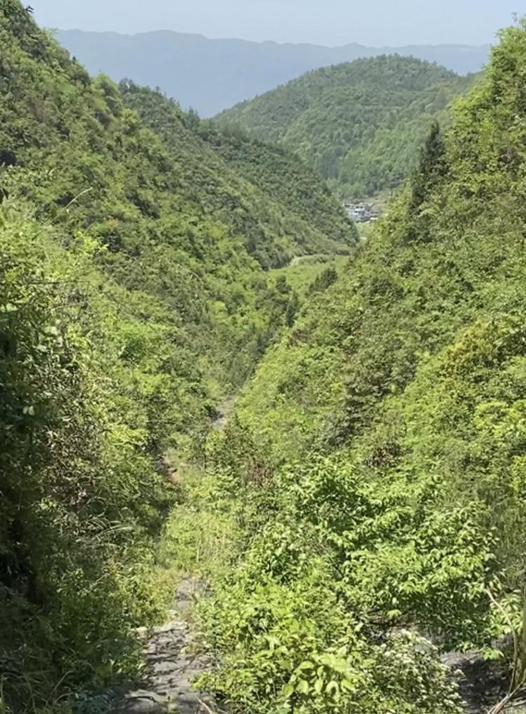 重庆市酉阳县后坪乡农村交通网络建设正文