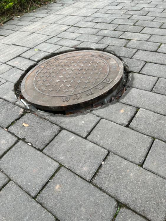 蔡家岗街道嘉祥大道下水道井盖损坏存在安全隐患正文