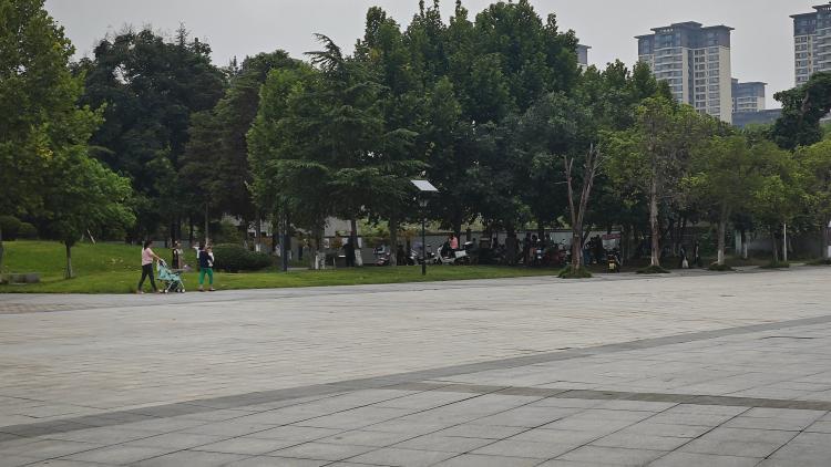 北碚蔡家中央公园植被被跳莎莎舞的践踏破坏无人管理正文