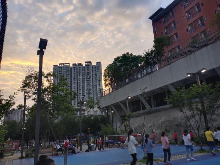 巴南区龙洲湾街道汪家坡南体育文化公园维护问题